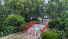 济南跑马岭爆料案件最新,真相渐明，疑云终散